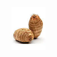 Eddoes Per Kg. - Master