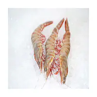 B/T Shrimp 8/12 HOSO Per Carton - Master