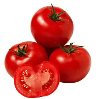 Tomato S Per Kg - Master