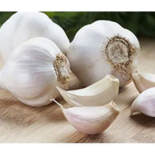 Garlic Per Box 10kg. Mast - Master