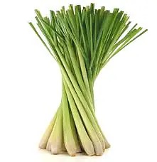 Lemongrass Per Kg. - Master