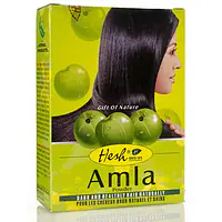 Hesh Amla Powder 100g - Master