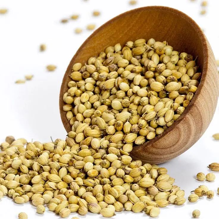 Coriander Per Piece - Master
