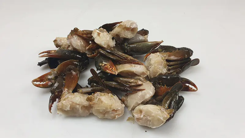 Mangrove Crab (8-12) - Master