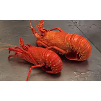 Crayfish Whole Home Per Pkt. - Master