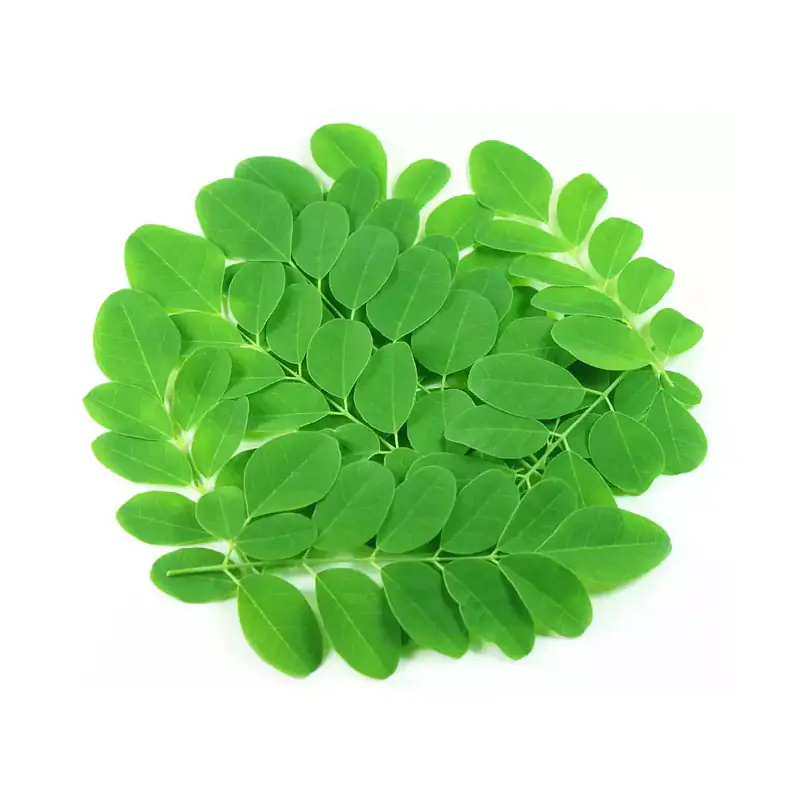 Drumstick Leaves Per Kg. - Master
