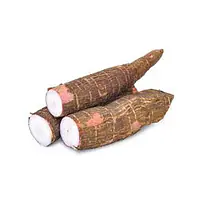 Bonifresh Cassava 500g - Master