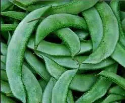 Sem Seed Per Kg. - Master