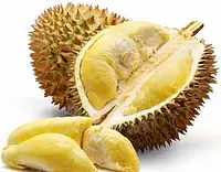 Durian Monthong Per Kg. - Master