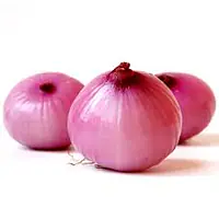 Red Onion  20kg. - Master
