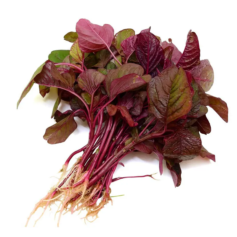 Lal Saag Per Kg. - Master