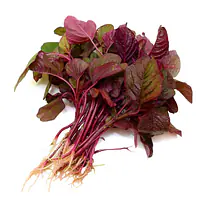 Lal Saag Per Kg. - Master