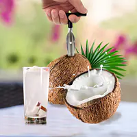 Young Coconut Water - Master