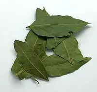 Tropic Bay Leaves 20g - Master