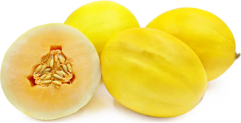 Melon yellow fruit - Master