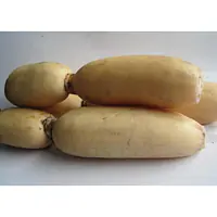 Lotus Root Per Kg. - Master