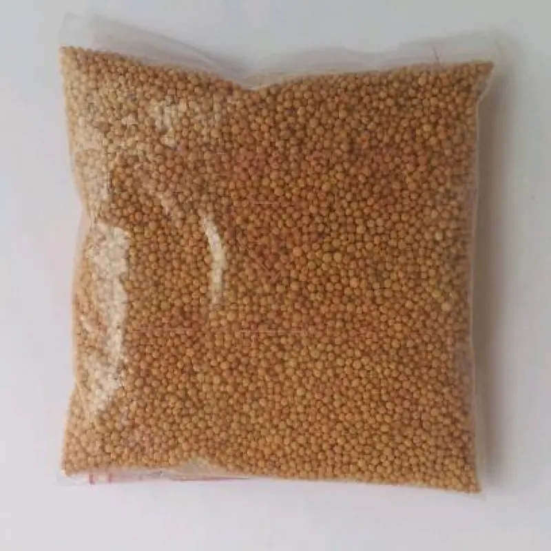 Kajal Yellow Mustard Seeds 100g - Master
