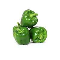 Capsicum Per Kg. - Master