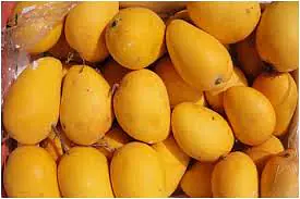 Honey Mangoes India - Master