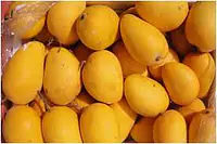 Honey Mangoes India - Master