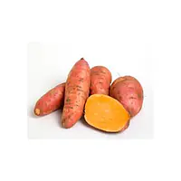 White Sweet Potato Med 10kg. - Master