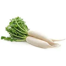 Radish Long Per Kg. S - Master
