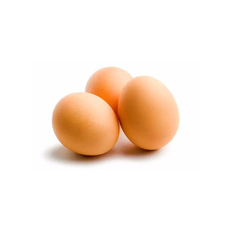 Eggs 10 pcs. - Master