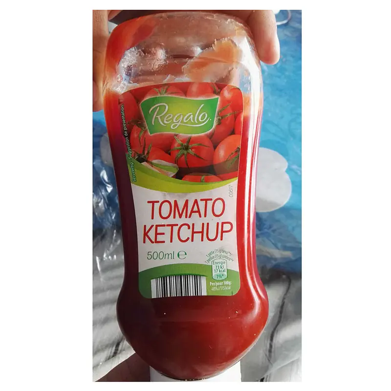 Regalo Tomato Ketchup 500ml - Master
