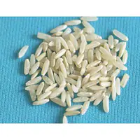 Panda Ex Long Perfume Rice AAA 10lbs - Master