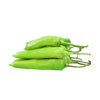 Big Green chilly pkt. - Master