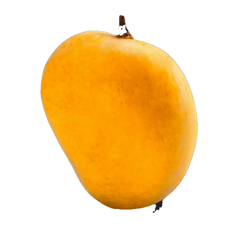 Mango Alphonso Big Box - Master