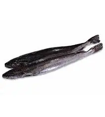 Merluza 22kg. - Master