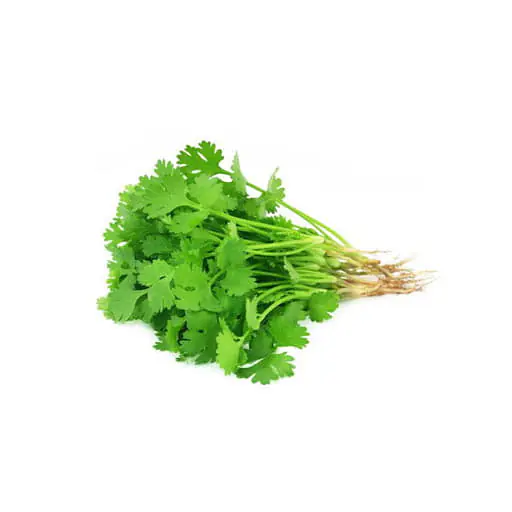 Coriander Per Tray S - Master