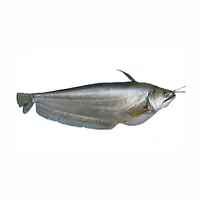 Boal Fish Per Kg. - Master