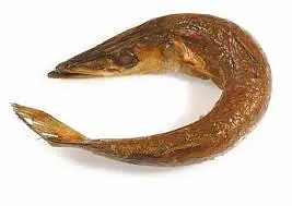 Barracuda Ring Per Box 5kg. - Master