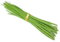 Drumstick Per Kg. - Master