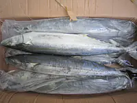 King Fish Steak 700g - Master