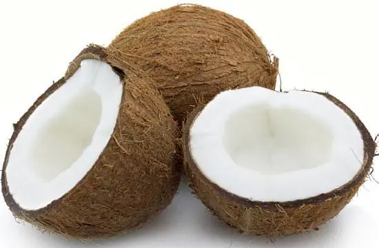 Coconut Per Piece - Master