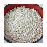 Kajal Sabudana 1kg. - Master
