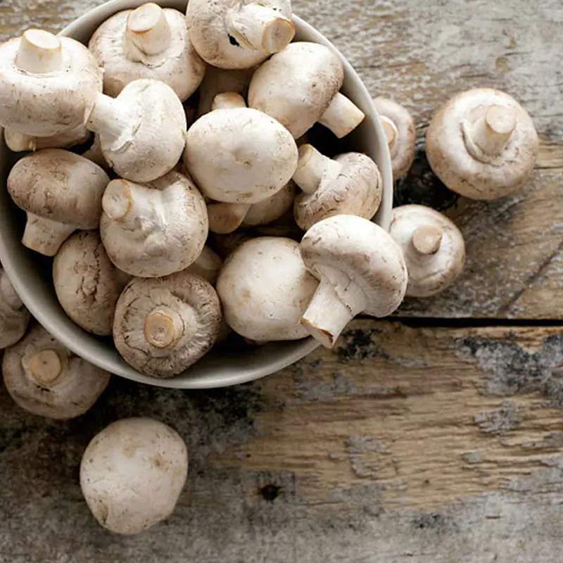 Mushroom Per Kg. - Master