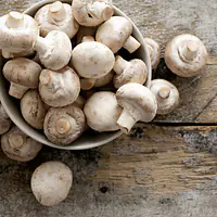 Mushroom Per Kg. - Master