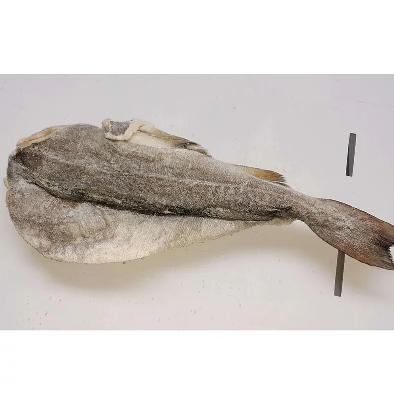 Ambassade Dry Fish Per Kg. - Master