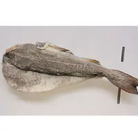 Ambassade Dry Fish Per Kg. - Master