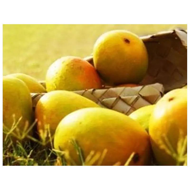 Mango Kesar Kaybee Per Box - Master