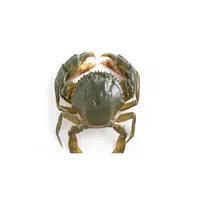 Madagascar Crab 1 Kg. - Master