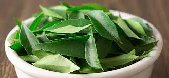 Curry Leaves - Master
