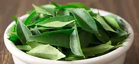 Curry Leaves - Master