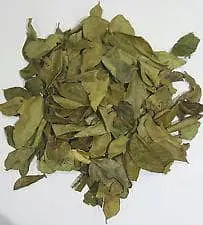 Ambala Currz Leaves (Dried) 20g - Master