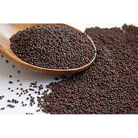 Kamal Black Mustard Seeds 400g - Master
