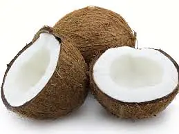 coconut - Master